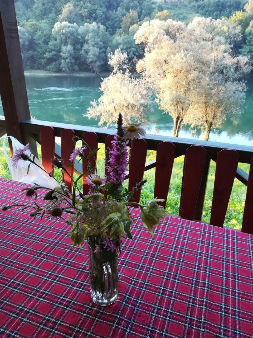 Brvnara Na Obali Reke Drine Villa Beserovina Exterior photo